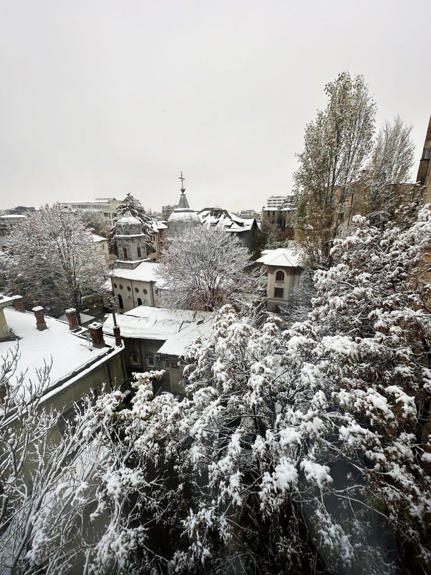 Haven * Bucarest